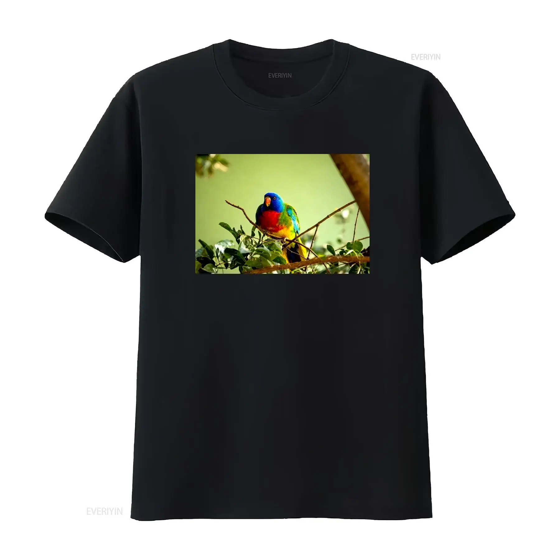 เสื้อยืดลายนกแก้วสีแดง ผลิตในอ - Vintage Fashion Australia บทวิจารณ์และราคา